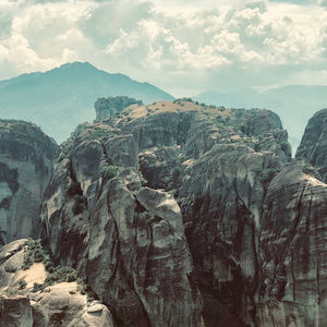 Meet your Posher, Janice